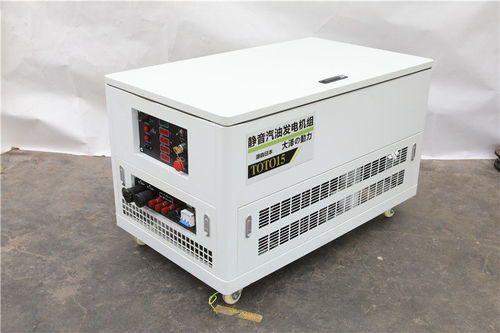 張家口高原特供 TOTO25汽油發(fā)電機在特殊環(huán)境下的機電產(chǎn)品應(yīng)用